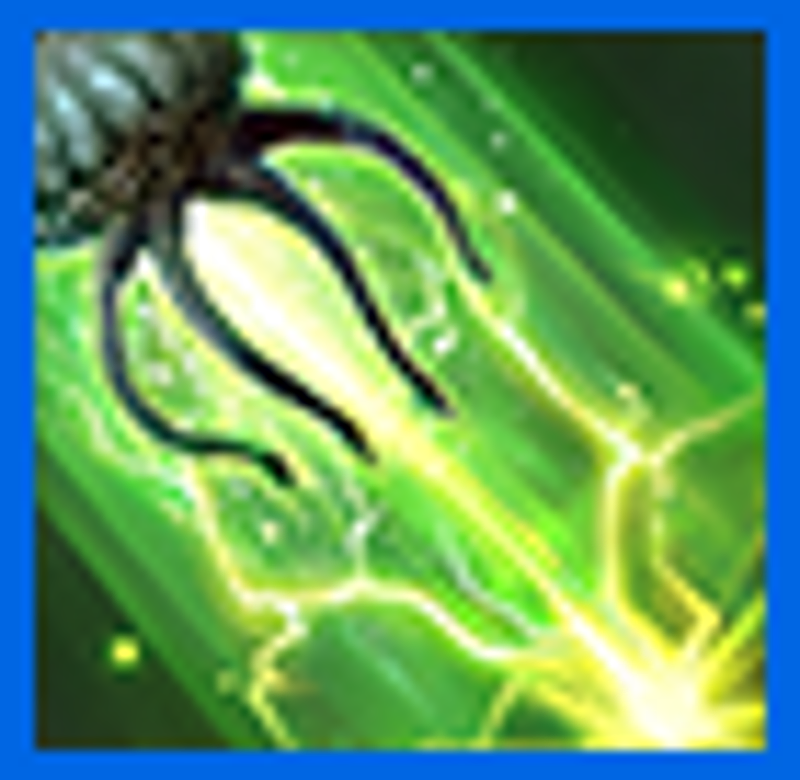 Bull Netch.png